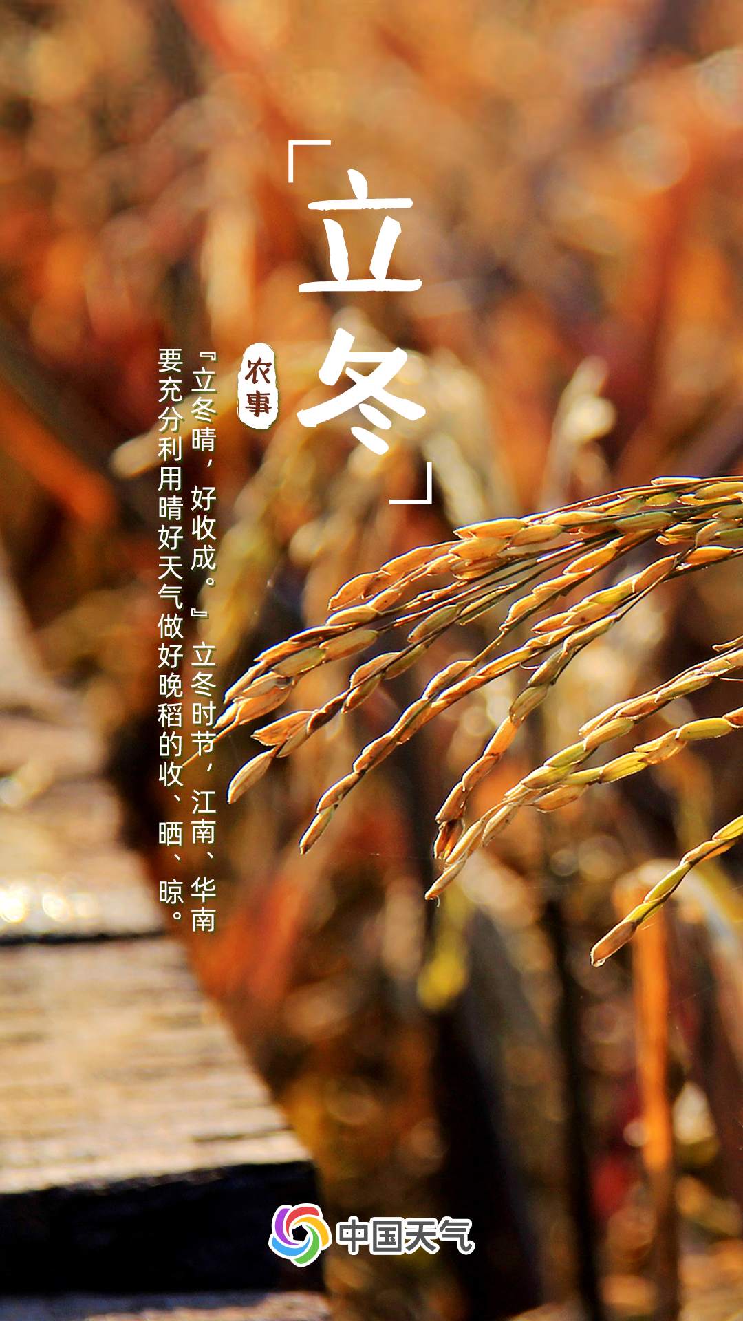 640_wx_fmt=png&from=appmsg&wxfrom=5&wx_lazy=1&wx_co=1 (5).png?x-oss-process=style/w10